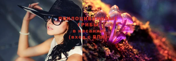 молекула духа Белоозёрский