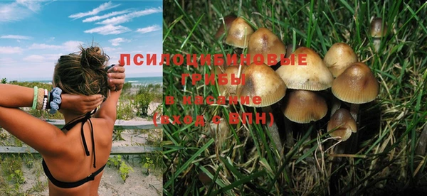 a pvp Богданович