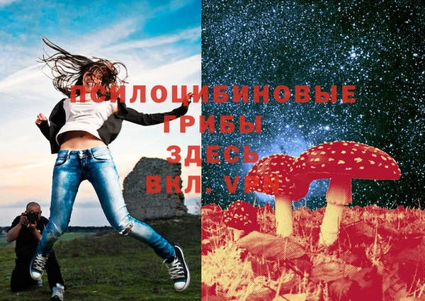 ГАЛЛЮЦИНОГЕННЫЕ ГРИБЫ Богородицк